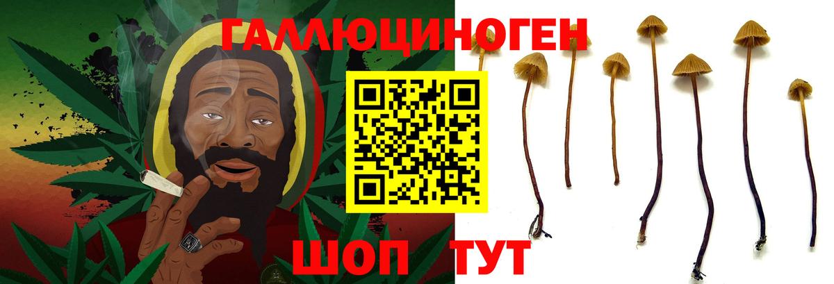 Псилоцибиновые грибы ЛСД Тула
